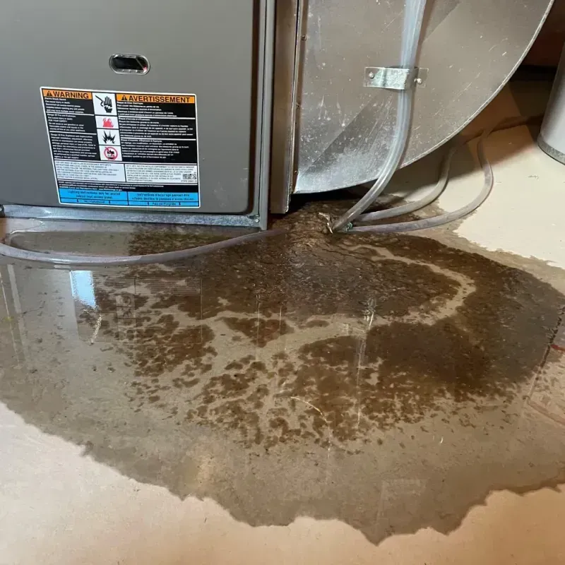 Appliance Leak Cleanup in Lake View, AL